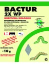 Erugues d'hort i ornamentals