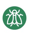 Mosca o gusano de la fruta