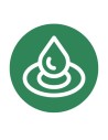 Mojante