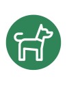 Cães e gatos