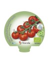 Semis horticoles durables certifiés
