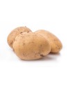 Pomme de terre pour semence