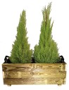 Jardineras