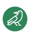 Aves