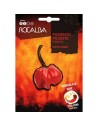 Semente pimenta picante
