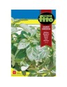 Semilla planta aromática
