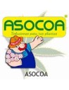 Asocoa