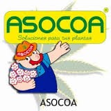 Asocoa