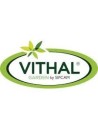 Vithal Garden
