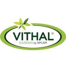 Vithal Garden