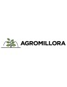 Agromillora
