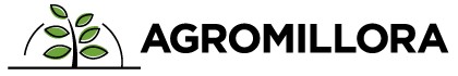 Agromillora