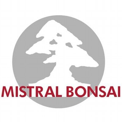Mistral Bonsai